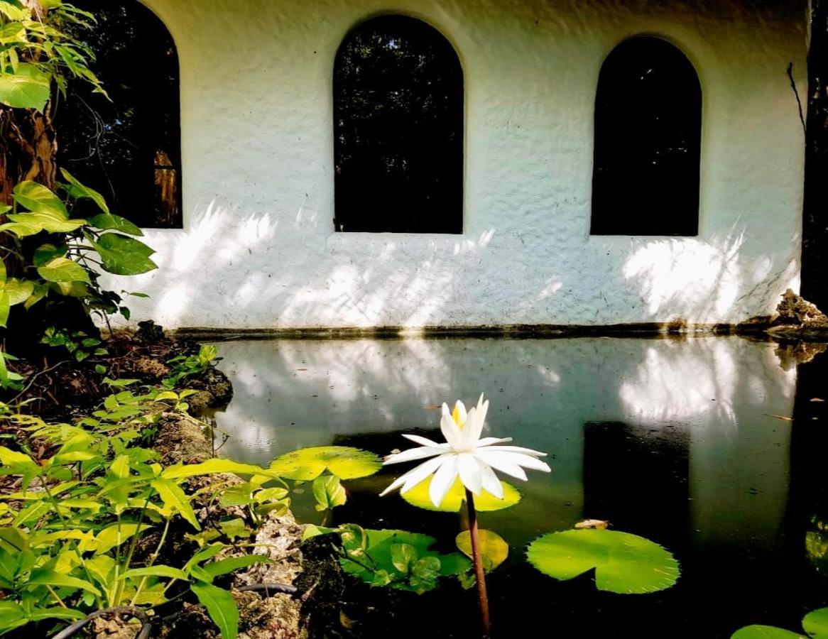 Kim'S Garden Villa Anda  Exteriör bild