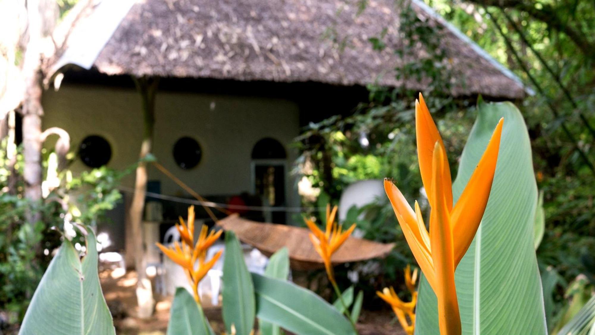 Kim'S Garden Villa Anda  Exteriör bild