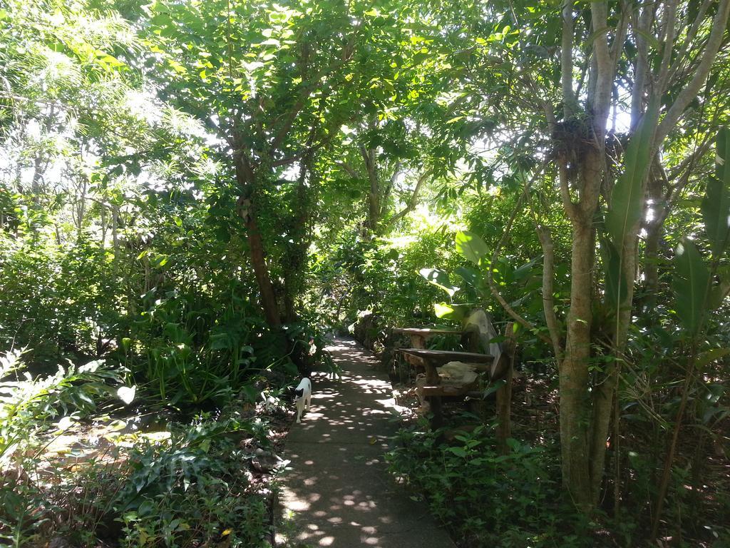 Kim'S Garden Villa Anda  Exteriör bild
