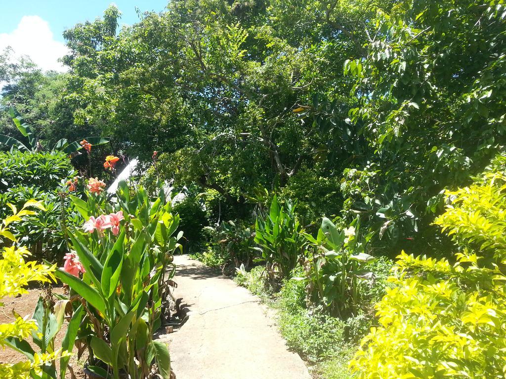 Kim'S Garden Villa Anda  Exteriör bild